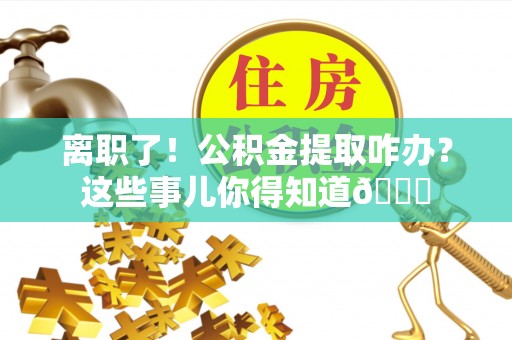 西城离职了！公积金提取咋办？这些事儿你得知道😎